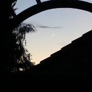 <font class="tempImageTitleThumbText">Premier Croissant De Lune Montante</font><br>Serge Quinet<br>Jun 16 9:04pm<br>Saint-Saulve Nord France