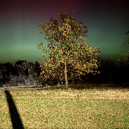 <font class="tempImageTitleThumbText">Aurora!</font><br>Seth karlinsey<br>Nov 12 4:12am<br>Pattensberg, missouri