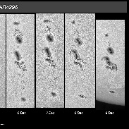 <font class="tempImageTitleThumbText">Sunspots AR4294 And AR4296</font><br>Shahrin Ahmad<br>Dec 9 3:59am<br>Kuala Lumpur, Malaysia