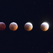 <font class="tempImageTitleThumbText">Lunar Eclipse</font><br>Shakeel Anwar<br>Jan 22 7:20pm<br>Mississauga Ontario