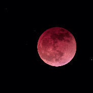 <font class="tempImageTitleThumbText">May 2022 Lunar Eclipse</font><br>Shane Finnigan<br>May 16 3:56pm<br>Renfrew, Ontario