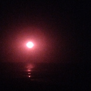 <font class="tempImageTitleThumbText">Solar Eclipse 12 Aug 2026 Wenduine, Belgi</font><br>Shanna Saey<br>Sep 2 8:36am<br>Wenduine Haerendijcke Beach, Be