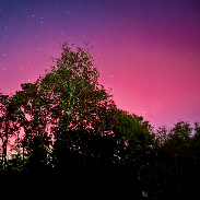 <font class="tempImageTitleThumbText">Auroras</font><br>Sharon Chance<br>Nov 12 5:03am<br>Aiken, South Carolina