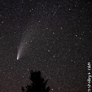 <font class="tempImageTitleThumbText">Comet Neowise</font><br>Shelley E Olds<br>Jul 21 3:54pm<br>Nederland, Colorado