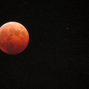 <font class="tempImageTitleThumbText">Total Lunar Eclipse And Uranus Conjunctio</font><br>Shiraishi<br>Oct 8 11:06am<br>Kumagaya-shi, Saitama, Japan