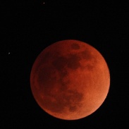 <font class="tempImageTitleThumbText">Lunar Eclipse (the Greatest)</font><br>Shiraishi<br>Jan 31 2:24pm<br>Kumagaya-shi, Saitama, Japan