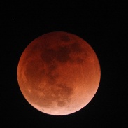 <font class="tempImageTitleThumbText">Lunar Eclipse, Out Of Umbra</font><br>Shiraishi<br>Jan 31 2:26pm<br>Kumagaya-shi, Saitama, Japan