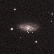 <font class="tempImageTitleThumbText">Supernova 2021 Adlw In Galaxy NGC 3813</font><br>Siegfried Trattnig<br>Jan 2 5:27pm<br>Vienna Austria