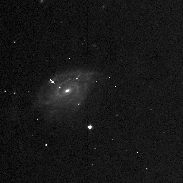 <font class="tempImageTitleThumbText">Supernova 2022ame In Galaxy NGC 1255</font><br>Siegfried Trattnig<br>Feb 20 6:41pm<br>Vienna Austria