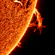 <font class="tempImageTitleThumbText">Sun In H Alpha </font><br>Siegfried Trattnig<br>Oct 18 11:59am<br>Vienna, Austria