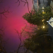 <font class="tempImageTitleThumbText">Aurora </font><br>Siegrid werner<br>Nov 12 5:24am<br>Washington nj usa