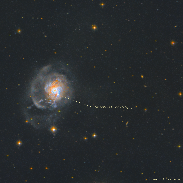 <font class="tempImageTitleThumbText">1 Day Old Supernova In Weird Galaxy NGC33</font><br>Simas Šatkauskas<br>Mar 23 9:45am<br>Lithuania