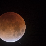 <font class="tempImageTitleThumbText">Total Lunar Eclipse</font><br>Steed Yu<br>Jan 31 5:49pm<br>Beijing, China