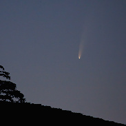 <font class="tempImageTitleThumbText">Comet NEOWISE And The Cedar Of Lebanon</font><br>Stefano De Rosa<br>Jul 9 6:51am<br>La Morra (Italy)