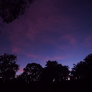 <font class="tempImageTitleThumbText">Venus, Jupiter & Mars At Sunrise</font><br>Stephen Marceau<br>Nov 9 9:01pm<br>Orange N.S.W Australia