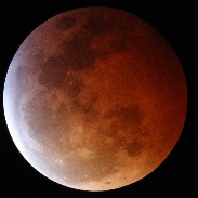 <font class="tempImageTitleThumbText">Total Lunar Eclipse</font><br>Steve Engleman<br>Jan 21 8:12am<br>Richardson, Texas