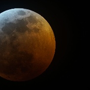 <font class="tempImageTitleThumbText">Total Lunar Eclipse</font><br>Steve Higgins<br>Jan 21 7:02am<br>Kansas
