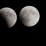 <font class="tempImageTitleThumbText">Lunar Eclipse</font><br>Steve Rigel<br>Jan 21 8:43am<br>Colorado Springs, CO