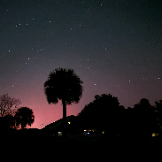 <font class="tempImageTitleThumbText">Aurora From Mims Florida North Of Titusvi</font><br>Steve Rismiller<br>Nov 12 4:10am<br>Mims, Florida
