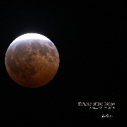 <font class="tempImageTitleThumbText">Eclipse Of The Moon</font><br>Steve Rismiller<br>Aug 28 4:13pm<br>Mims, Florida