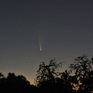 <font class="tempImageTitleThumbText">Comet NEOWISE</font><br>Steve Scudero<br>Jul 10 12:48pm<br>Martinez, CA