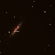 <font class="tempImageTitleThumbText">Supernova In M82</font><br>Steve Wainwright<br>Jan 22 11:48pm<br>Pontarddulais S. Wales, UK