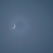 <font class="tempImageTitleThumbText">Crescent Venus At Noon</font><br>Steven Bellavia<br>Jan 4 7:26pm<br>This is the finest crescent Ven