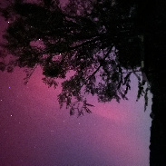 <font class="tempImageTitleThumbText">Aurora </font><br>Steven Sanford<br>Oct 11 2:50am<br>Lincolnton Georgia 