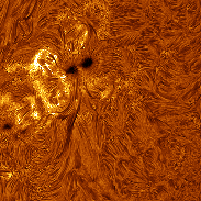 <font class="tempImageTitleThumbText">Active Region 14551 In Hydrogen-alpha </font><br>Stuart Green<br>Oct 16 5:12pm<br>Preston Lancashire, UK