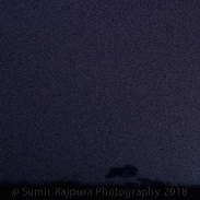 <font class="tempImageTitleThumbText">Total Lunar Eclipse 2018</font><br>Sumit Rajpura<br>Jan 31 7:19pm<br>India