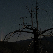 <font class="tempImageTitleThumbText">Comet NEOWISE/C/2020 F3</font><br>Susan Colosimo<br>Jul 10 9:53pm<br>San Gabriel Mountains