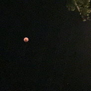 <font class="tempImageTitleThumbText">Lunar Eclipse </font><br>Suzanne Snedeker<br>May 19 6:03am<br>Ithaca, NY