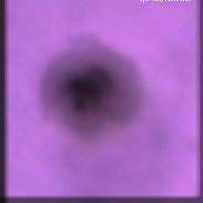 <font class="tempImageTitleThumbText">Solar Surface</font><br>Syed Mohammad Baqir<br>Jul 12 1:27am<br>Quetta, Pakistan