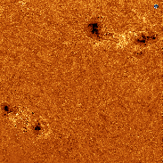 <font class="tempImageTitleThumbText">Sunspots AR 4478 & 4479</font><br>Sylvain Weiller<br>Jun 30 1:00pm<br>Jerusalem, Israel
