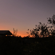 <font class="tempImageTitleThumbText">Insane Sunset Colours Cont.</font><br>Tara Williams<br>Jun 4 10:45am<br>Pottsville NSW Australia