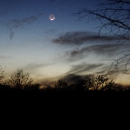 <font class="tempImageTitleThumbText">Venus, The Moon, And Mercury</font><br>Theo Wellington<br>Jan 22 5:16am<br>Goodlettsville, TN, USA