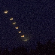 <font class="tempImageTitleThumbText">Lunar Eclipse</font><br>Theo Wellington<br>Jan 31 3:53pm<br>Nashville, TN