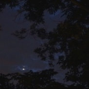 <font class="tempImageTitleThumbText">Venus And Jupiter</font><br>Theo van de Mortel<br>Jul 1 12:22pm<br>Storrs Mansfield CT USA