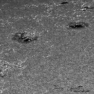 <font class="tempImageTitleThumbText">The Sun In Halpha And G-band</font><br>Thierry Legault<br>May 24 8:56pm<br>Paris, France
