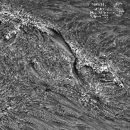<font class="tempImageTitleThumbText">AR4446 In 3 Bands</font><br>Thierry Legault<br>May 26 7:48am<br>Paris, France