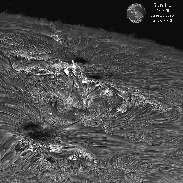 <font class="tempImageTitleThumbText">AR4478 In Ha, G-band And Ca K</font><br>Thierry Legault<br>Jun 25 9:17pm<br>Paris, France