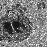 <font class="tempImageTitleThumbText">The Huge Sunspot In AR4478</font><br>Thierry Legault<br>Jul 2 7:54pm<br>Paris, France
