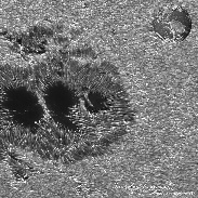 <font class="tempImageTitleThumbText">The Huge Sunspot In AR4478</font><br>Thierry Legault<br>Jul 3 3:52pm<br>Paris, France