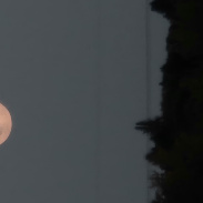 <font class="tempImageTitleThumbText">Harvest Moon</font><br>Thomas Childress<br>Sep 27 12:41am<br>Rugby, ND