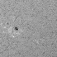 <font class="tempImageTitleThumbText">AR4498</font><br>Thomas Jorgenson<br>Aug 2 7:45pm<br>Neenah, WI