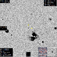 <font class="tempImageTitleThumbText">Supernova 2023wrk In Galaxy NGC 3690</font><br>Thomas Wildoner<br>May 2 2:11am<br>Weatherly, PA, USA