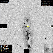 <font class="tempImageTitleThumbText">Supernova 2023dbc Observation In Galaxy M</font><br>Thomas Wildoner<br>Mar 19 11:08am<br>Weatherly, PA, USA