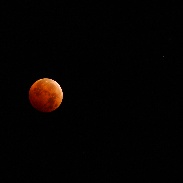 <font class="tempImageTitleThumbText">Lunar Eclipse</font><br>Tim Erney<br>Oct 8 4:35pm<br>Corvallis, Oregon, USA