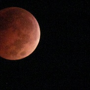 <font class="tempImageTitleThumbText">Lunar Eclipse And Uranus</font><br>Timothy Albert<br>Oct 9 1:01am<br>Fayetteville, NC, USA