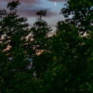 <font class="tempImageTitleThumbText">Comet NEOWISE From The Blue Ridge</font><br>Todd Bush<br>Jul 6 12:34pm<br>Banner Elk, NC - USA